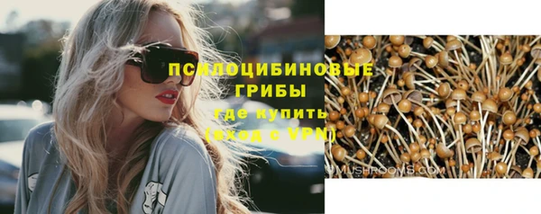 прущая мука Алзамай